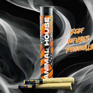 2 PACK INFUSED PRE-ROLLS - GALACTIC GUAVA