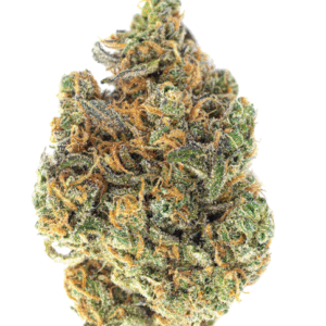 PRE-ROLL - HORSESHOES